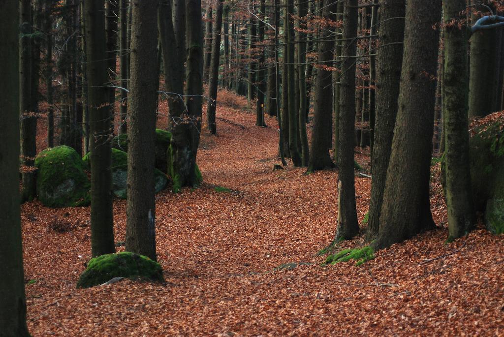 Gasthof Und Pension Haunschmid Rechberg Eksteriør bilde