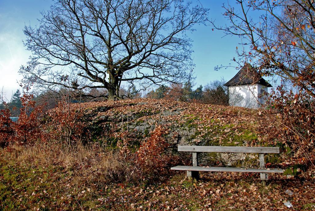 Gasthof Und Pension Haunschmid Rechberg Eksteriør bilde